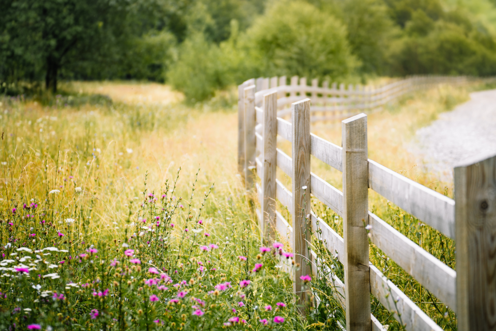 A beautifully crafted wooden ranch-style fence installed by Alpine Fence in San Diego, stretching along a scenic countryside path with wildflowers and lush greenery. Perfect for Chula Vista homeowners looking for durable, stylish fencing solutions for privacy, security, and curb appeal.